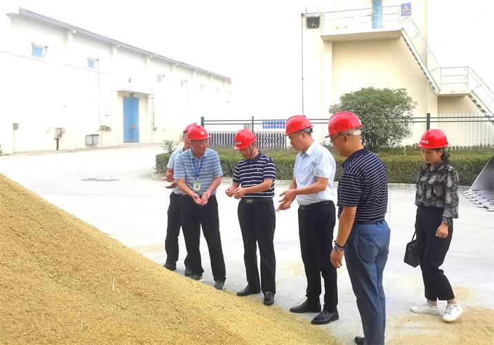 深入桐城国家粮食储备库,青草香米业集团和孔城粮食购销新建